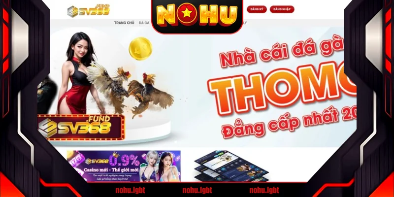 Giới thiệu không gian cược của nhà cái sv368