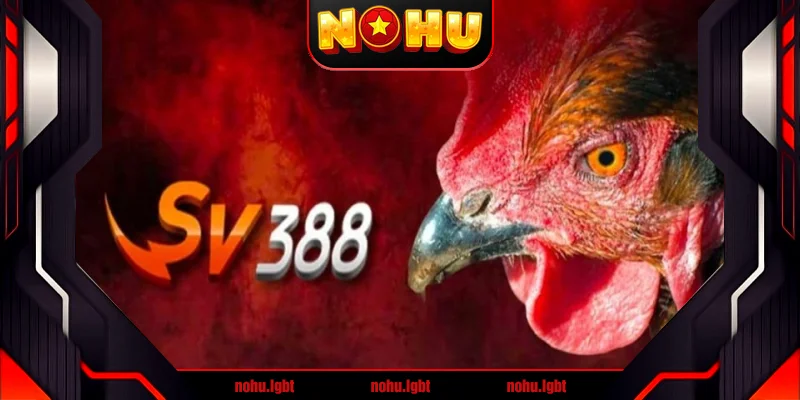Lợi thế giúp Sv388 để lại ấn tượng sâu sắc Lợi thế giúp Sv388 để lại ấn tượng sâu sắc
